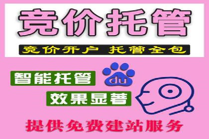 百度竞价排名策略：看这家公司如何逆袭